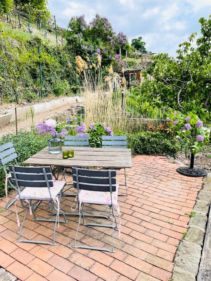 Ferienwohnung Am Elberadweg Meißen Exteriér fotografie